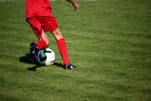 开云官方-篮球运动员心理韧性培养与干预体系，篮球运动员的心理选材