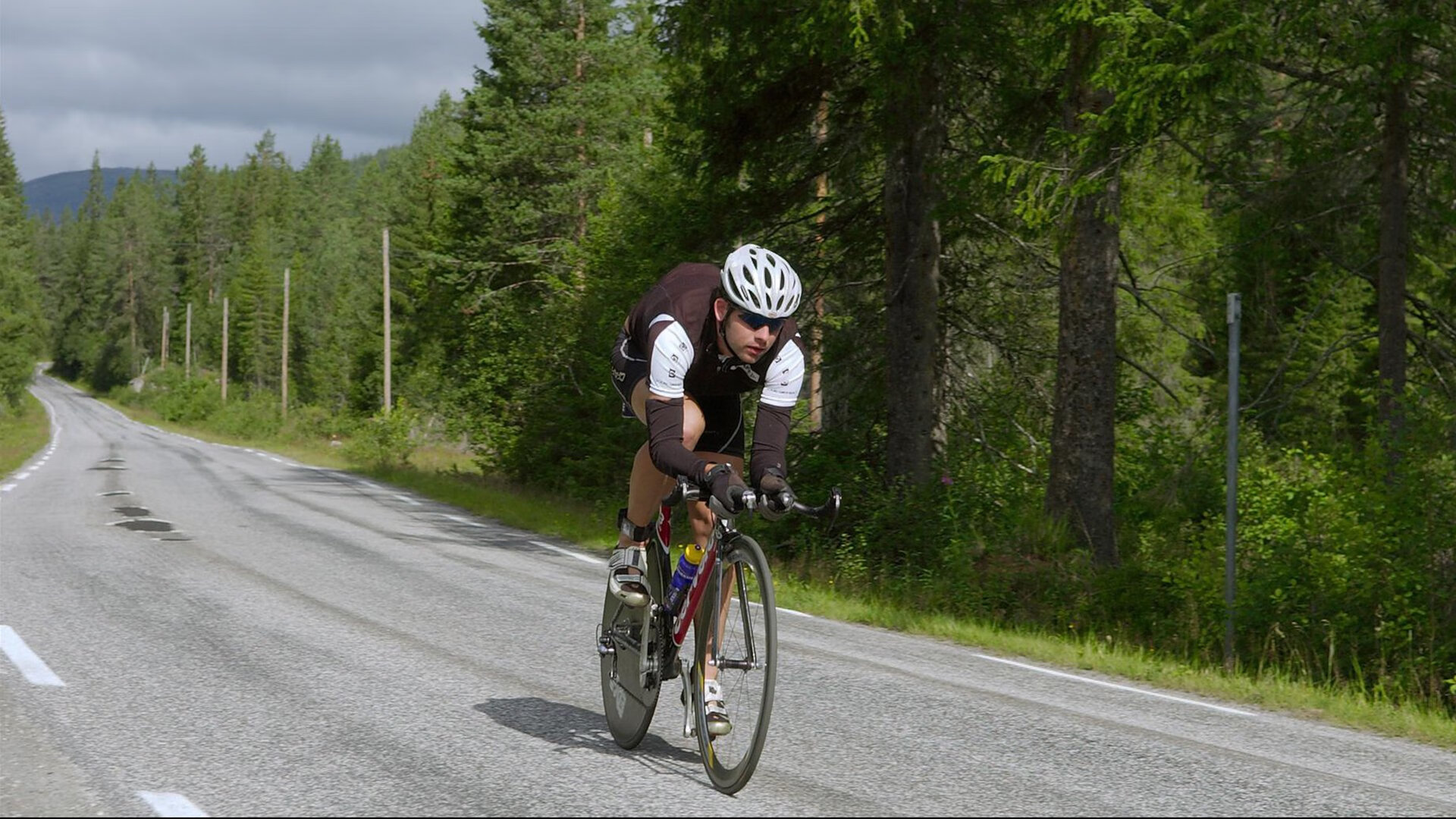 辽宁飞豹冲击三连冠卫冕路挑战重重，辽宁飞豹队标